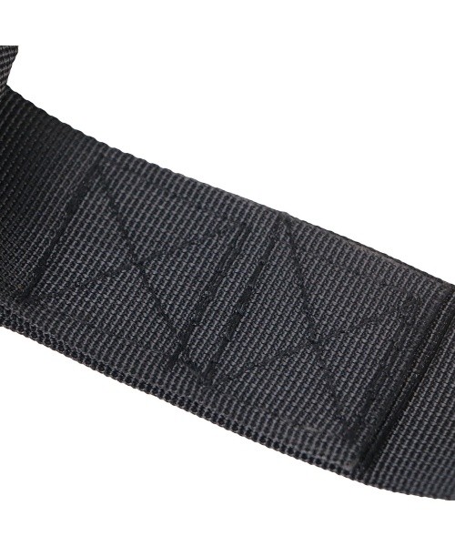Hanging Ab Straps inSPORTline AbStrap