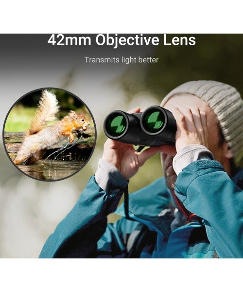 10x42 AutoFocus Binoculars Apexel
