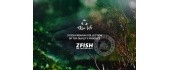 ZFISH plūduriuojantys kukurūzai