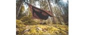 Az Traveller Camp Forest