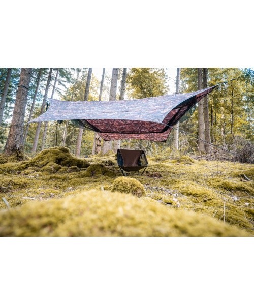 Az Traveller Camp Forest