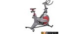 Spin Bike inSPORTline Agneto