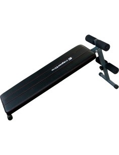 Slanted Workout Bench inSPORTline
