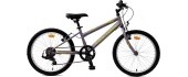 Children’s Bike Reactor Star 20” – 2024 - Purple