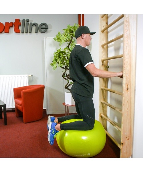 Wall Bars inSPORTline Dualmar 220 x 65 cm