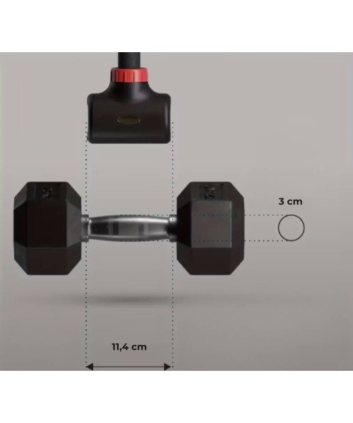 Curved Barbell w/ Dumbbell Clips inSPORTline Bakuhold 103 cm