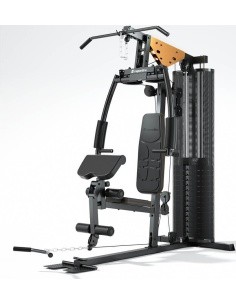 Daugiafunkcinis treniruoklis inSPORTline ProfiGym C45