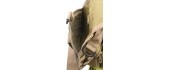 Shoulder Bag Cattara Army 10l
