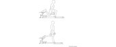 Hip Thrust Machine inSPORTline X-NT HT10 Hip Thrust