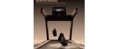 Treadmill inSPORTline Velocer Run