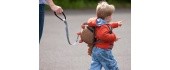 Littlelife Toddler Backpack Dinosaur