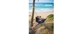 Hammock Amazonas Barbados Black