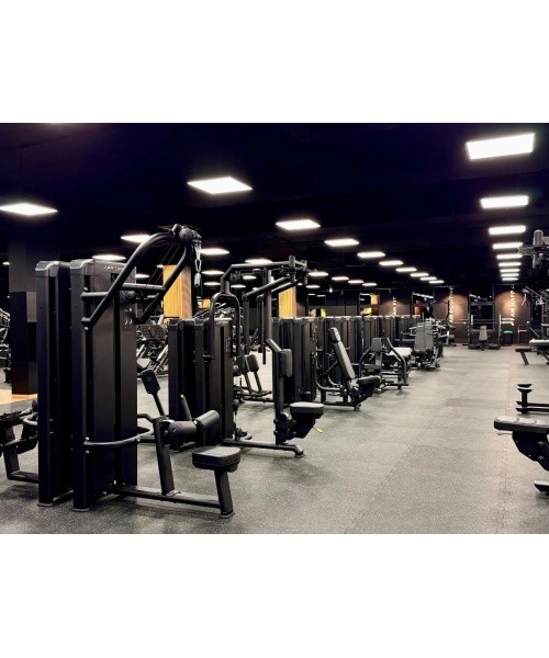 Overhead lift (double) UR-U018 2.0 - UpForm