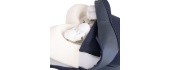 Massage Pillow inSPORTline Encosto