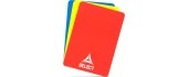 REFEREE CARDS