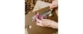 Opinel Parallele Chefs Knife No.118