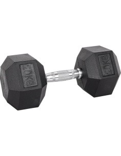 Hex Dumbbell inSPORTline Hexsteel 20 kg