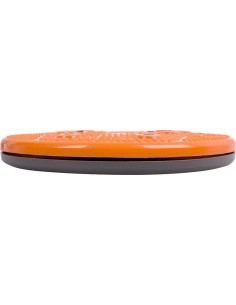 Twister inSPORTline Magnetic - černá-antracit