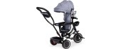 Tricycle with swivel seat canopy ECOTOYS