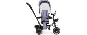 Tricycle with swivel seat canopy ECOTOYS