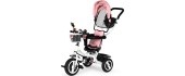 Tricycle rotating canopy durable rubber wheels ECOTOYS