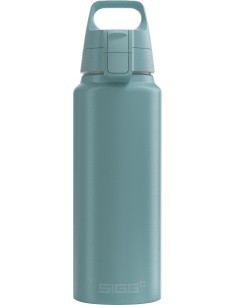 SIGG aliuminis gertuvė „WMB One“