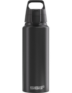 SIGG aliuminis gėrimo butelis „WMB One“