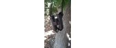 Origin Outdoors Binoculars 'Mountain View'