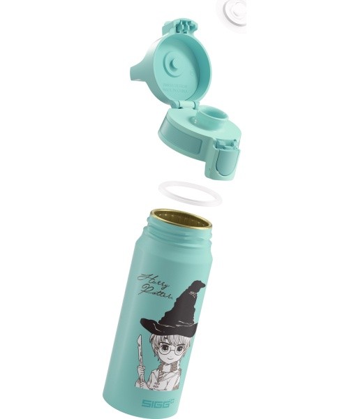 SIGG Alu drinking bottle 'WMB One'