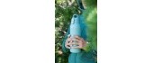 SIGG Shield Therm One termosas