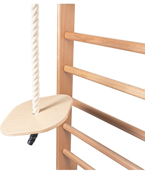 Hanging Swing for Wall Bars