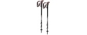 Nordic Walking