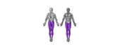 Leg Strength Trainers