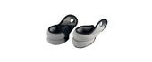 Body Weights