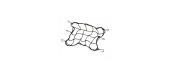 Cargo Nets and Elastic Straps