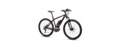 E-Bikes