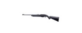 Air Guns and Rifles